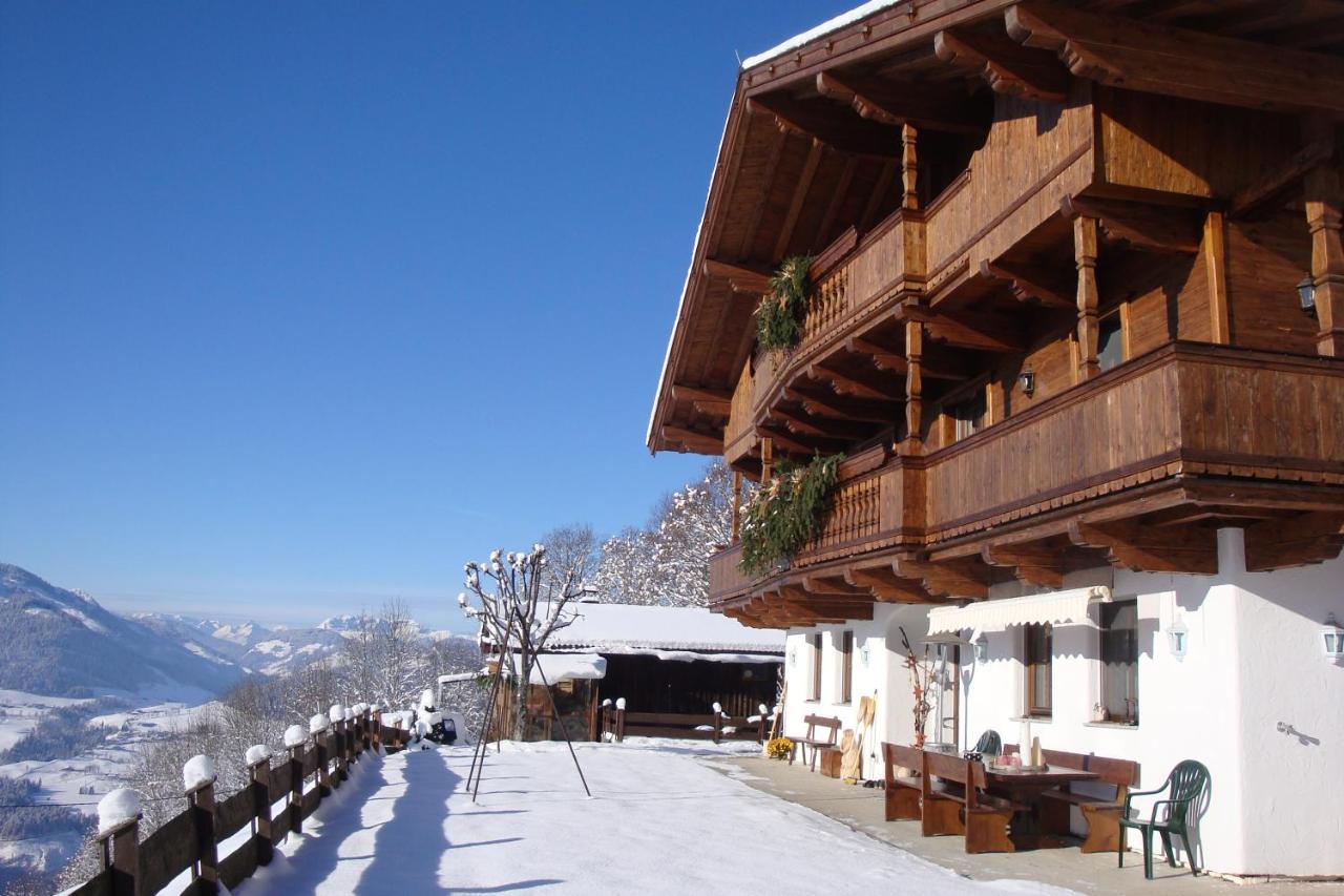 Appartement Oberschernthann Hopfgarten im Brixental Dış mekan fotoğraf