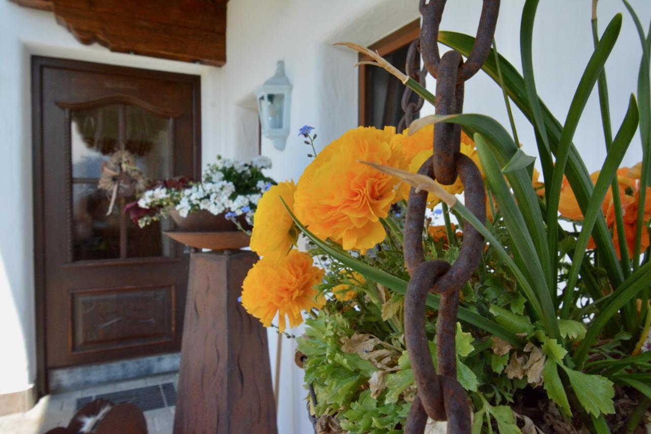 Appartement Oberschernthann Hopfgarten im Brixental Dış mekan fotoğraf