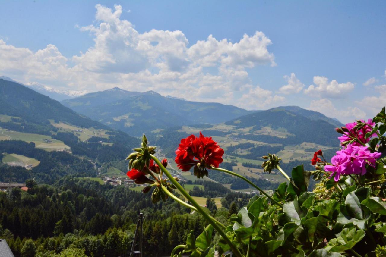 Appartement Oberschernthann Hopfgarten im Brixental Dış mekan fotoğraf