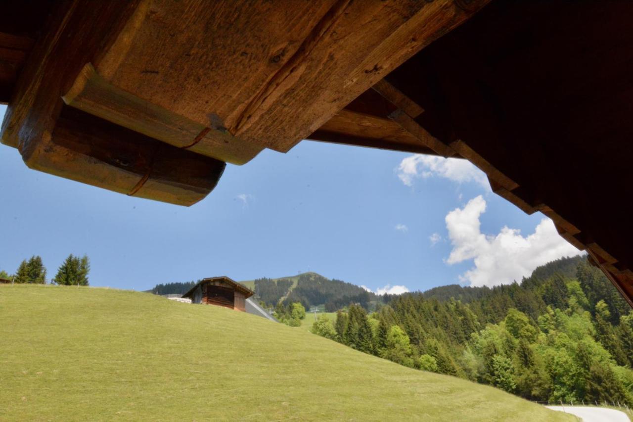 Appartement Oberschernthann Hopfgarten im Brixental Dış mekan fotoğraf