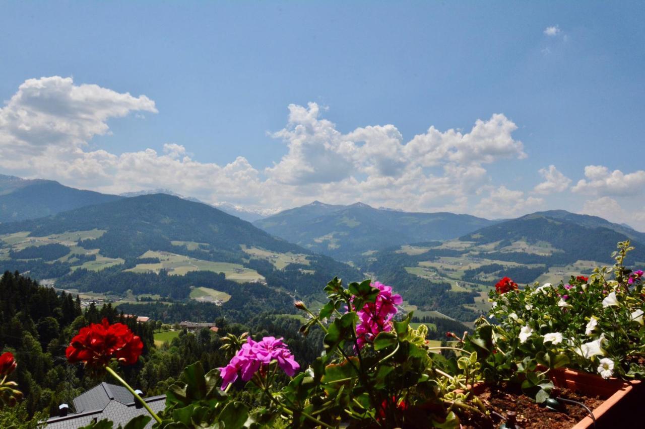 Appartement Oberschernthann Hopfgarten im Brixental Dış mekan fotoğraf