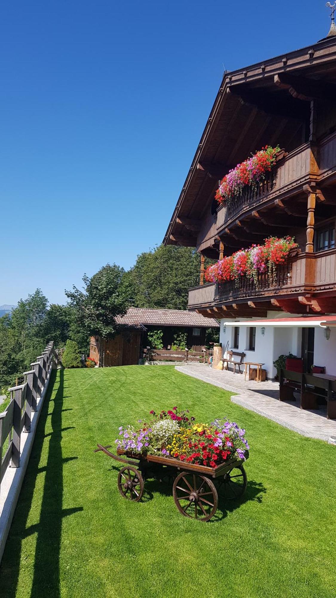 Appartement Oberschernthann Hopfgarten im Brixental Dış mekan fotoğraf