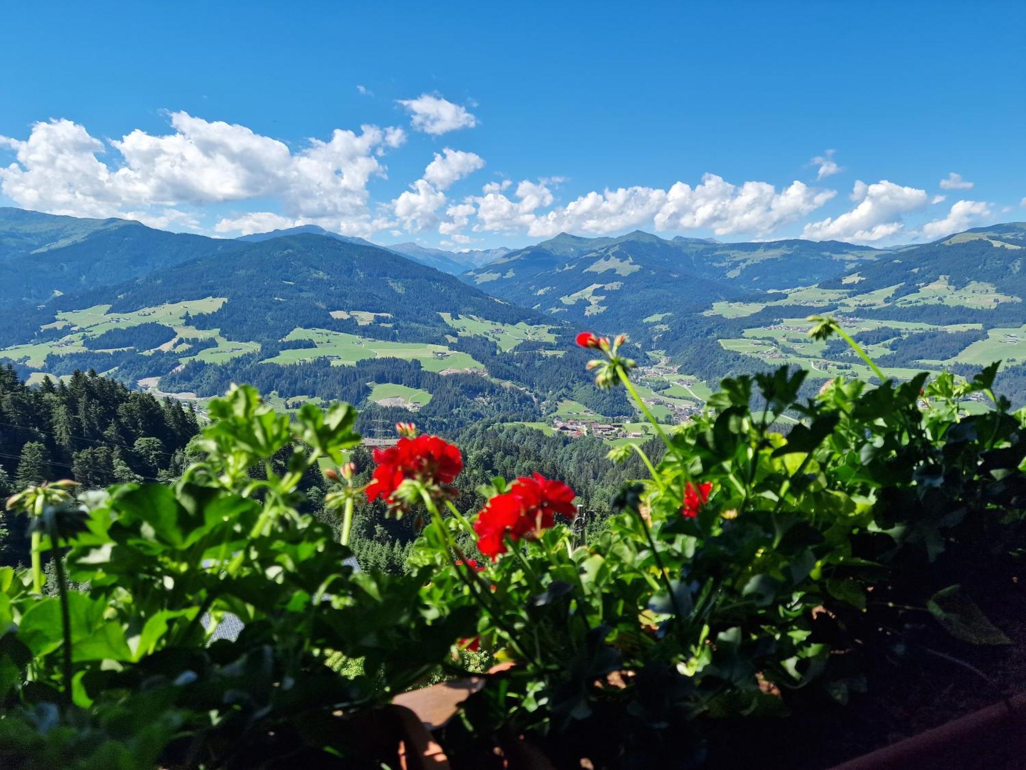 Appartement Oberschernthann Hopfgarten im Brixental Dış mekan fotoğraf