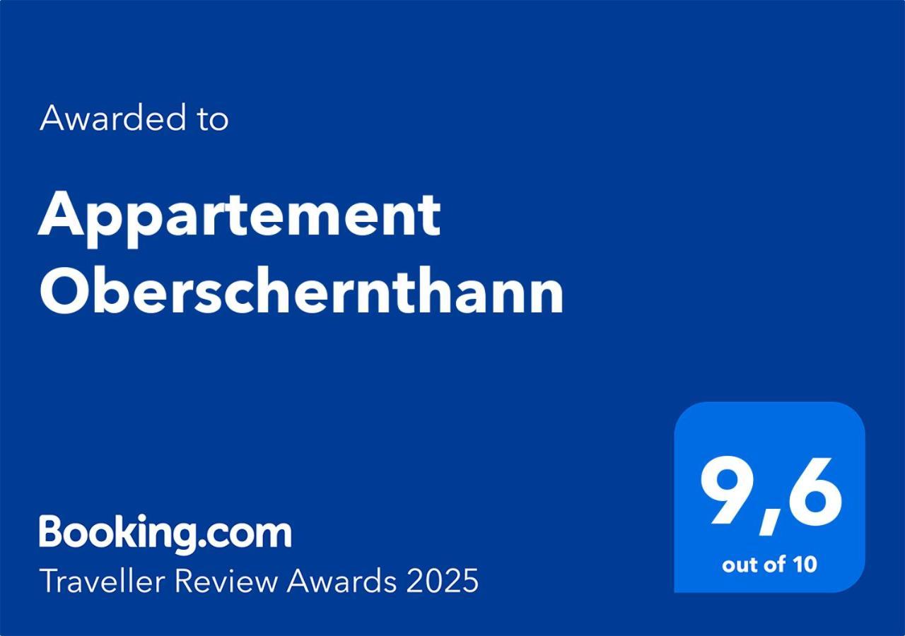 Appartement Oberschernthann Hopfgarten im Brixental Dış mekan fotoğraf