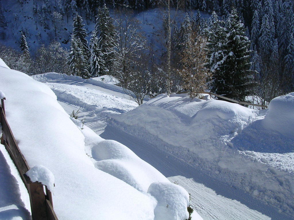 Appartement Oberschernthann Hopfgarten im Brixental Dış mekan fotoğraf